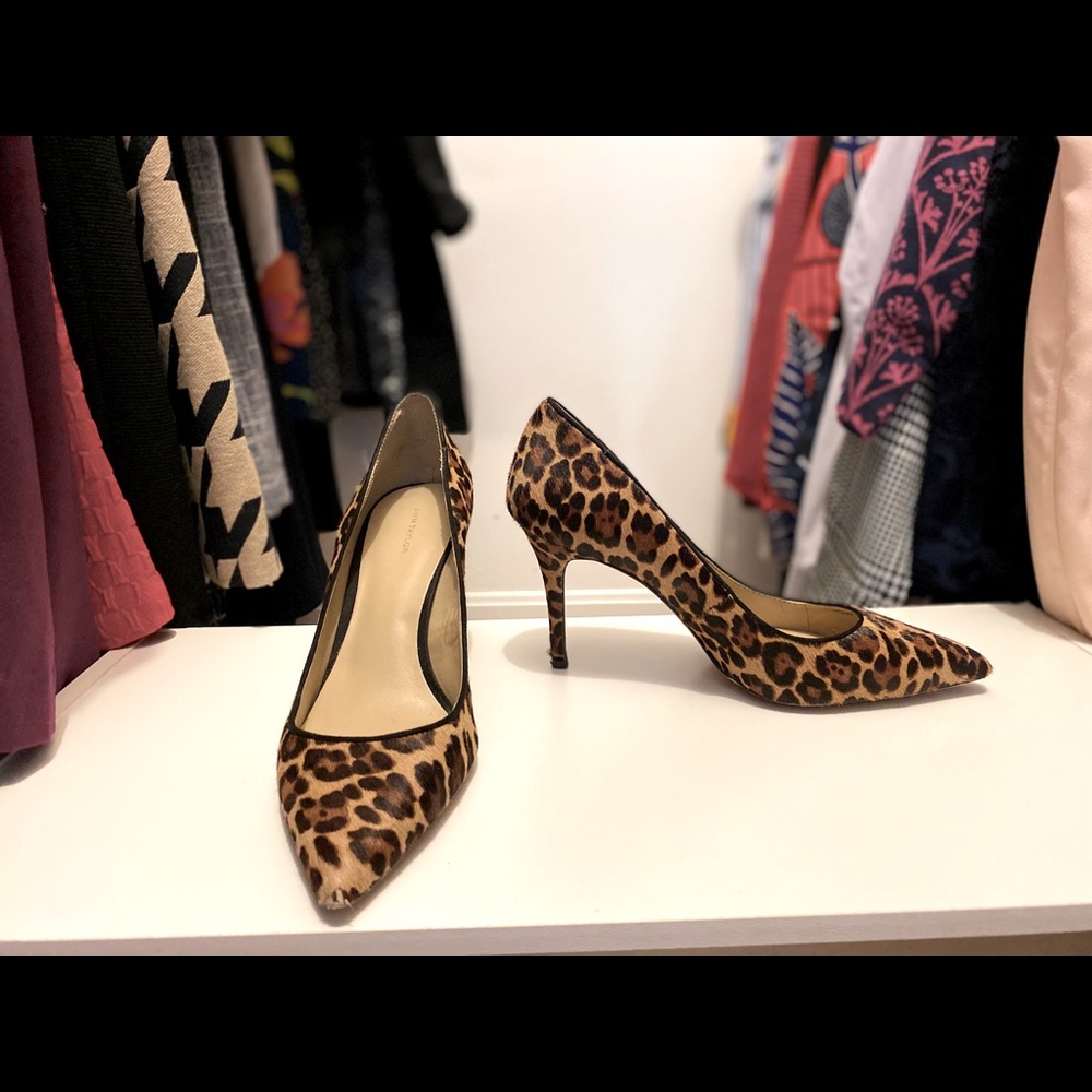 Ann Taylor | Mila Leopard Print Haircalf Pumps